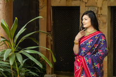 Double Ikat Patola Saree