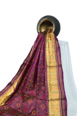 Single Ikat Rajkoti Patola