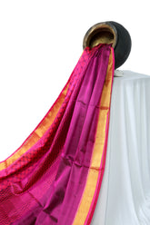 Single Ikat Rajkoti Patola