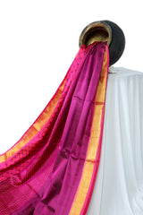 Single Ikat Rajkoti Patola