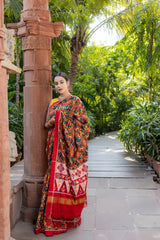 Double Ikat Patola Saree