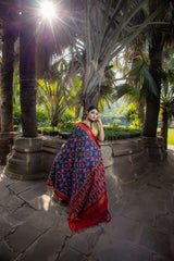 Double Ikat Patola Saree