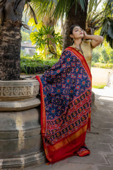 Double Ikat Patola Saree