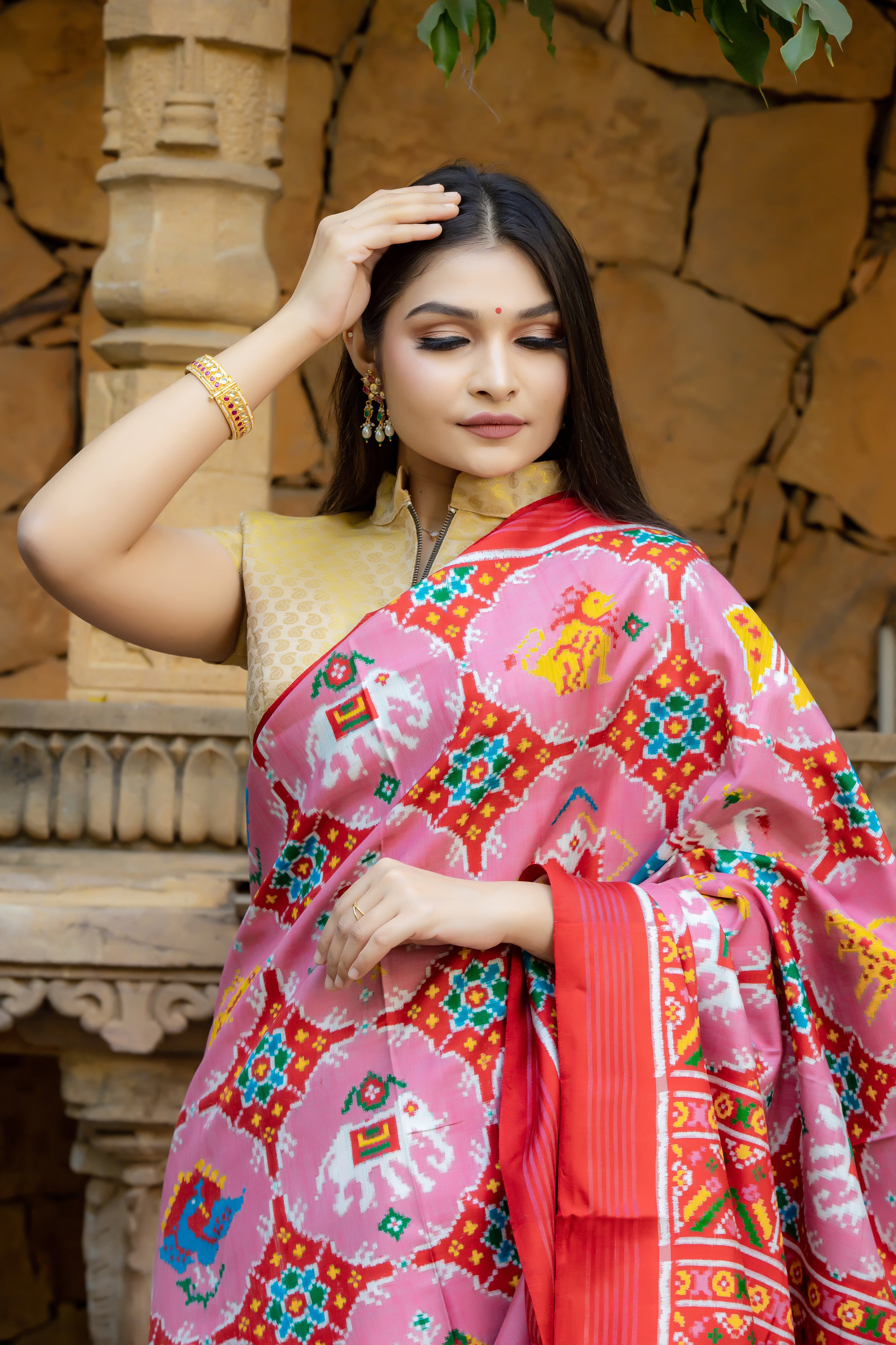 Double Ikat Patola Saree