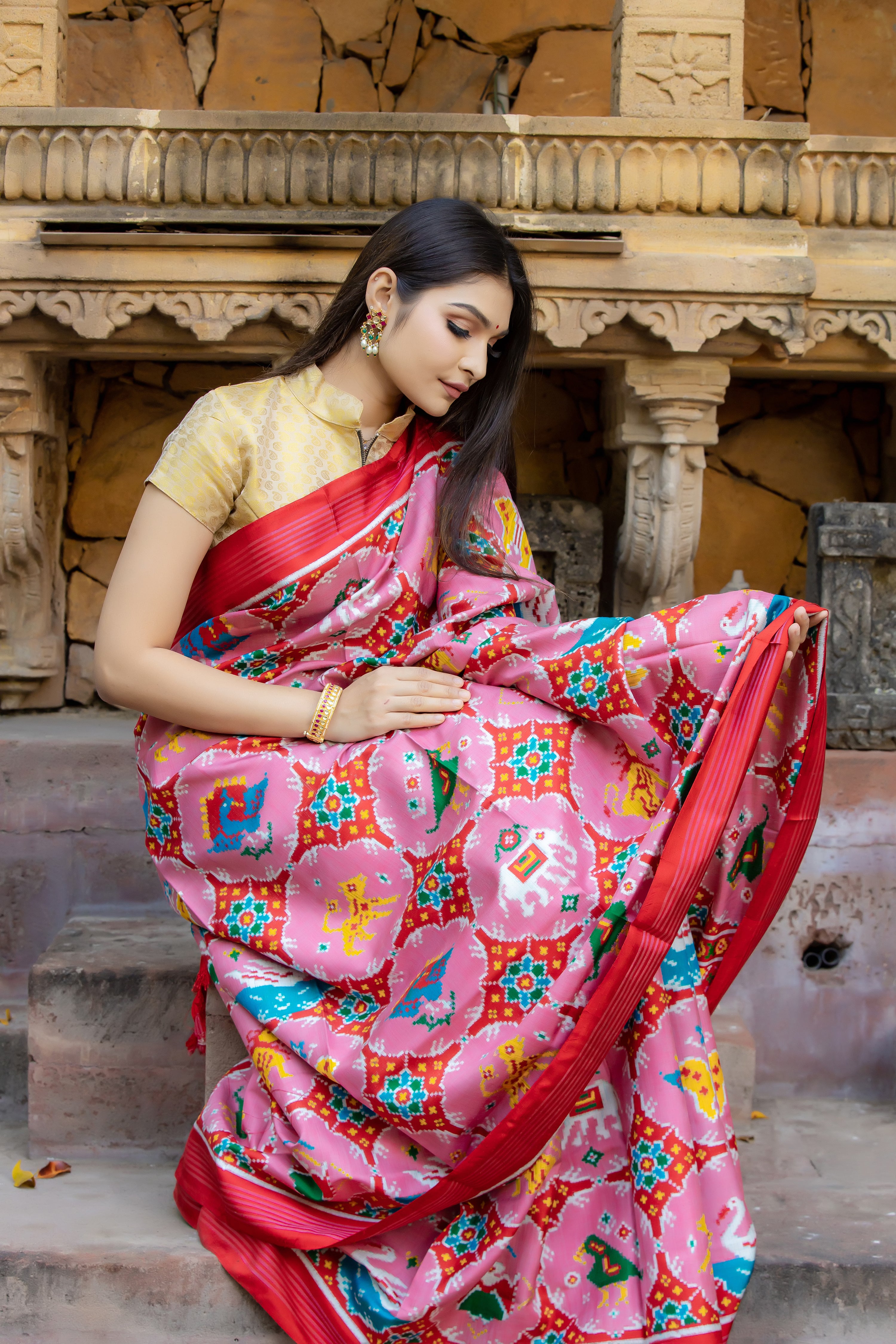 Double Ikat Patola Saree