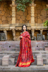 Single Ikat Patola Saree